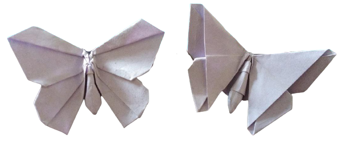 Two folded paper butterfly designs.
